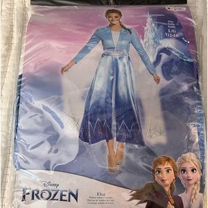 Elsa Adult Costume